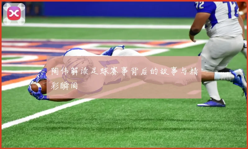 陶伟解读足球赛事背后的故事与精彩瞬间