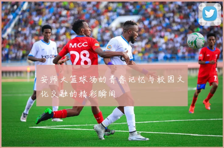 安师大篮球场的青春记忆与校园文化交融的精彩瞬间