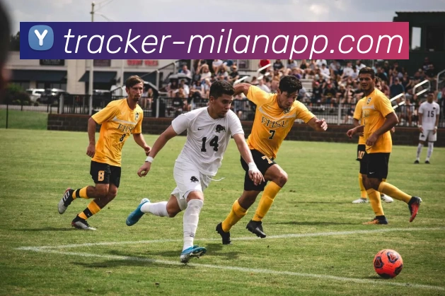 app下载入口APP 封面图